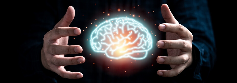 FİKRİ MÜLKİYET HUKUKU